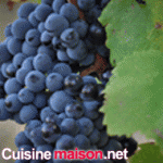 Mourvedre grape varieties