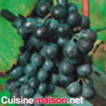 The Côt grape varieties