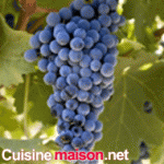 Cabernet sauvignon grape varieties