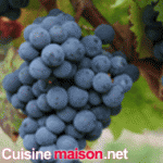 Cabernet Franc grape varieties