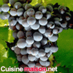 Grenache noir grape varieties